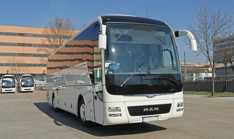 Vilnius: Buses operator in Trakai in Trakai and Latvia