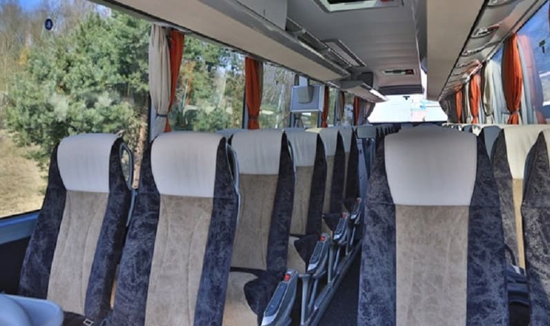 Belarus: Coach charter in Grodno Region in Grodno Region and Astravyets