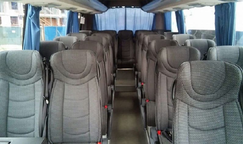 Latvia: Coach hire in Panevėžys in Panevėžys and Roki&scaron;kis